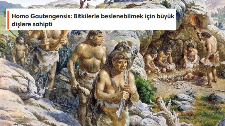 İnsan Türleri, Özellikleri ve İsimlerinin Anlamları
